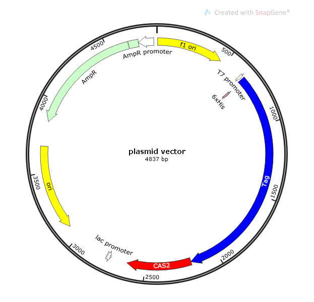 Biomarkers