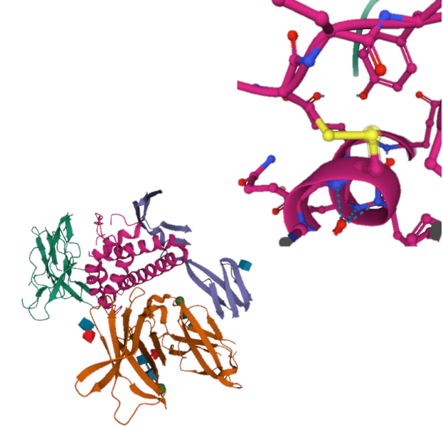 Biomarkers