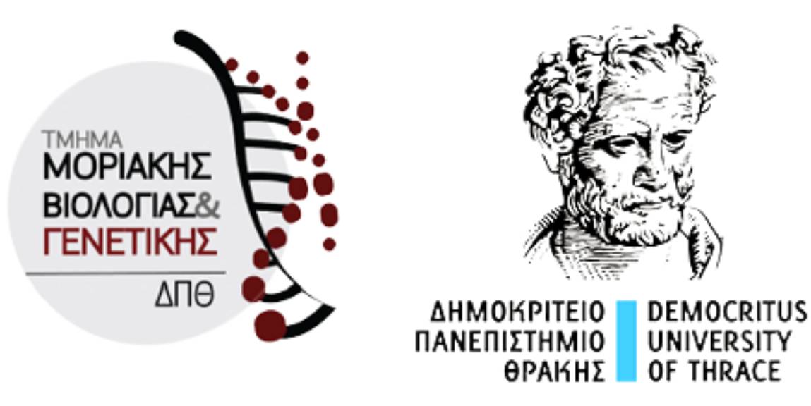 mbg-logo